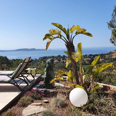 Pretty House With Sea View On The Hy Res Villa Hyères Eksteriør bilde